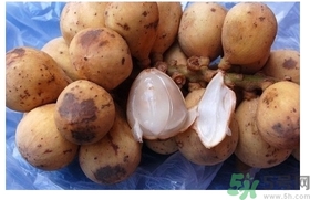 椰色果的功效作用 椰色果怎么吃？