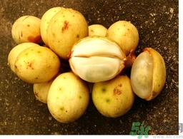 椰色果的功效作用 椰色果怎么吃？