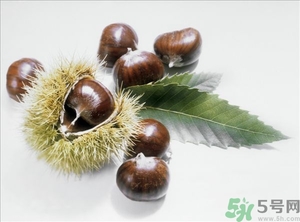 老人能喝板栗酒嗎？板栗怎么泡酒呢？