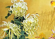重陽節(jié)可以回娘家嗎？重陽節(jié)為什么不能回娘家？