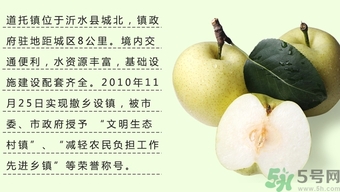 牛心果怎么吃？牛心果的功效和作用