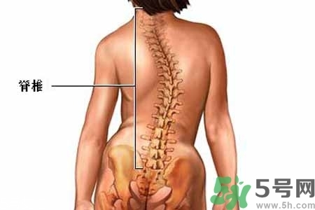 僵直性脊椎炎的癥狀有哪些？怎樣預(yù)防僵直性脊椎炎？
