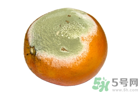 水果發(fā)霉了可以吃嗎？發(fā)霉的水果對人體有什么危害？