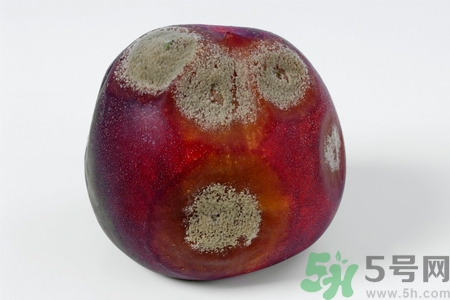 水果發(fā)霉了可以吃嗎？發(fā)霉的水果對人體有什么危害？