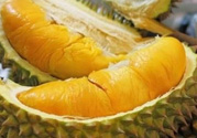 小孩能吃榴蓮嗎？榴蓮小孩能吃嗎？