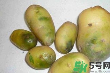 土豆發(fā)綠還能吃嗎？土豆發(fā)綠皮削皮后能吃嗎？