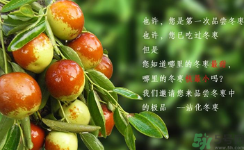 晚上吃棗子會(huì)胖嗎？晚上吃新鮮棗子會(huì)胖嗎？