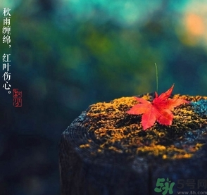 秋分做什么運(yùn)動(dòng)好？秋分運(yùn)動(dòng)注意事項(xiàng)