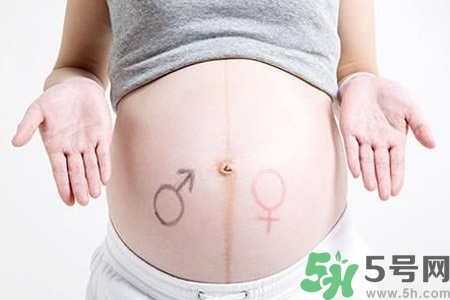 懷孕4個(gè)月肚子有多大？懷孕4個(gè)月需要注意什么？