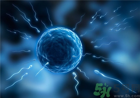 做試管嬰兒要多長(zhǎng)時(shí)間？做試管嬰兒可以選擇性別？