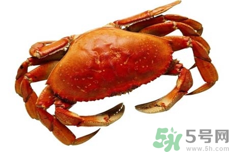 10月份吃螃蟹好嗎？10月份吃什么螃蟹？