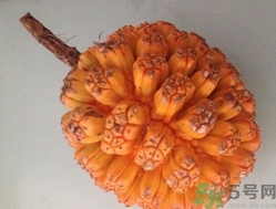 山菠蘿怎么吃？山菠蘿的功效與作用