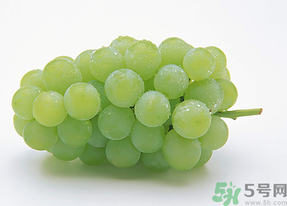 新鮮葡萄能放冰箱嗎？新鮮葡萄的保存方法