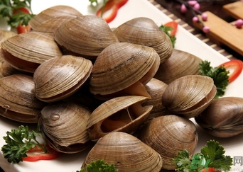 蜆子煮多長時間？蜆子怎么煮？