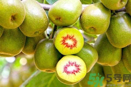 獼猴桃紅心黃心綠心哪個(gè)最好？黃心獼猴桃和紅心獼猴桃的區(qū)別