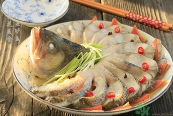 鱸魚是淡水魚還是海水魚？鱸魚是海魚嗎？