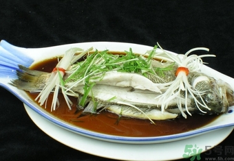 鱸魚是淡水魚還是海水魚？鱸魚是海魚嗎？