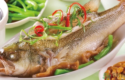 鱸魚和桂魚哪個(gè)好吃？鱸魚和桂魚的區(qū)別