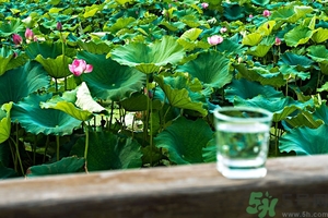 小蘇打能治癌癥嗎？蘇打水可以治癌癥嗎？