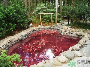 溫泉度假村哪里好？泡溫泉去哪里最好？