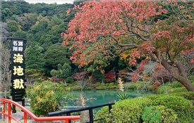 溫泉度假村哪里好？泡溫泉去哪里最好？