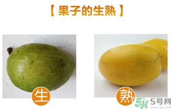 蛋黃果多少錢一斤？蛋黃果什么時(shí)候成熟？