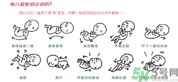 胎動怎么數(shù)最正確？胎動有什么規(guī)律？