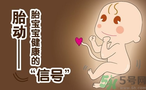 胎動怎么數(shù)最正確？胎動有什么規(guī)律？