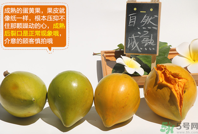 蛋黃果怎么催熟？生的蛋黃果如何催熟？