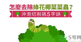 西蘭花里有蟲子怎么辦？花椰菜里面好多蟲怎么辦？