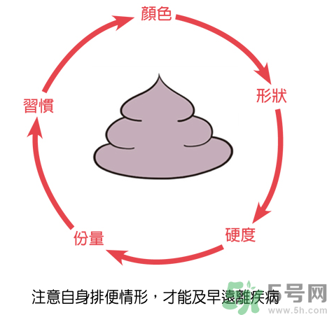 便秘體質的人怎么辦？便秘體質怎么調理？