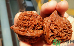 核桃長蟲了還能吃嗎？核桃長蟲子怎么處理？