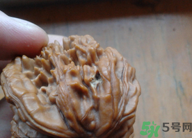 核桃長蟲了還能吃嗎？核桃長蟲子怎么處理？