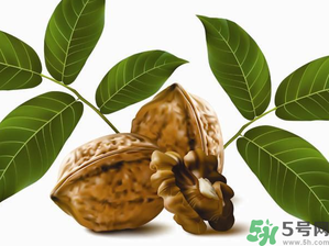 核桃一天吃幾個合適？核桃一天吃幾個最好？