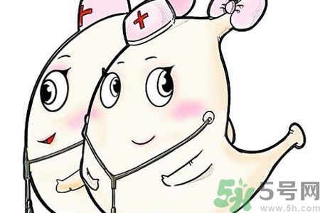 胃會餓小嗎？經(jīng)常肚子餓對胃有什么影響？
