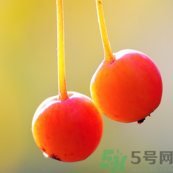 海棠果孕婦能吃嗎？海棠果的功效與作用