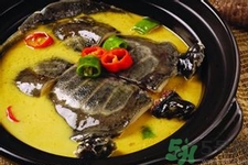 喝甲魚血能治陽痿嗎？甲魚血能喝嗎？