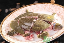 甲魚怎么吃最有營養(yǎng)？甲魚怎么吃最補(bǔ)身體？