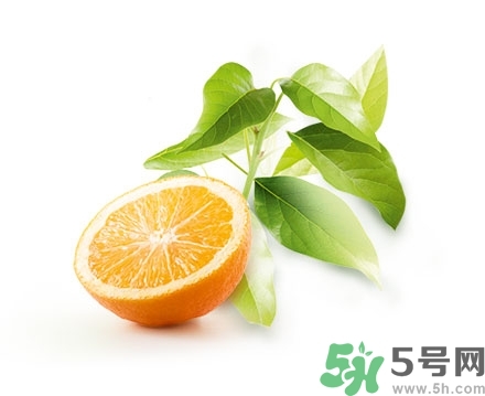 淳萃洗發(fā)水好用嗎？淳萃洗發(fā)水怎么樣？