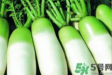 白蘿卜怎么吃最好？白蘿卜怎么吃最有營養(yǎng)？