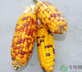 彩色玉米是轉(zhuǎn)基因嗎？彩色玉米能吃嗎？