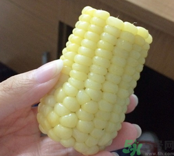 玉米沒(méi)煮熟能吃嗎？沒(méi)煮熟的玉米能吃嗎？