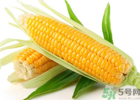 新鮮玉米怎么保存？鮮玉米怎么保存？