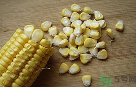玉米?？梢葬炇裁呆~？玉米粒釣魚方法