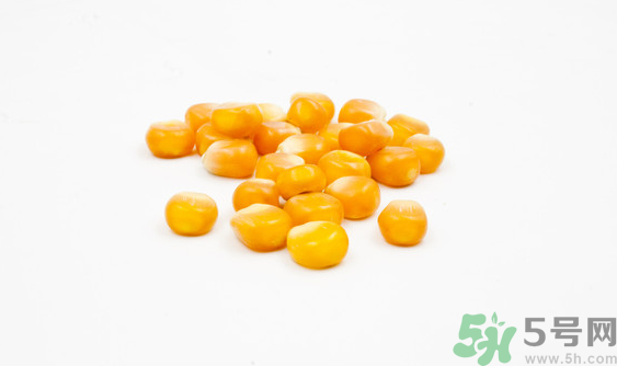 玉米?？梢葬炇裁呆~？玉米粒釣魚方法