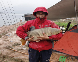十月份可以釣魚嗎？十月份釣魚用什么餌料？