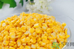 秋天釣魚用什么餌料？秋季釣魚用什么餌料好？