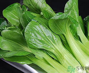 青菜可以放冰箱嗎？青菜能放冰箱保鮮嗎？