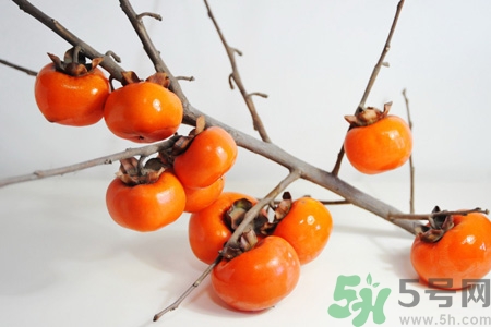 脆柿子的熱量是多少？柿子的熱量是多少？