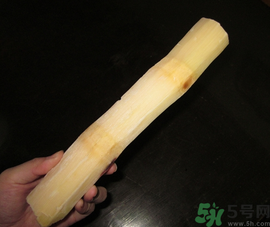 甘蔗可以放冰箱嗎？甘蔗放冰箱能保存多久？
